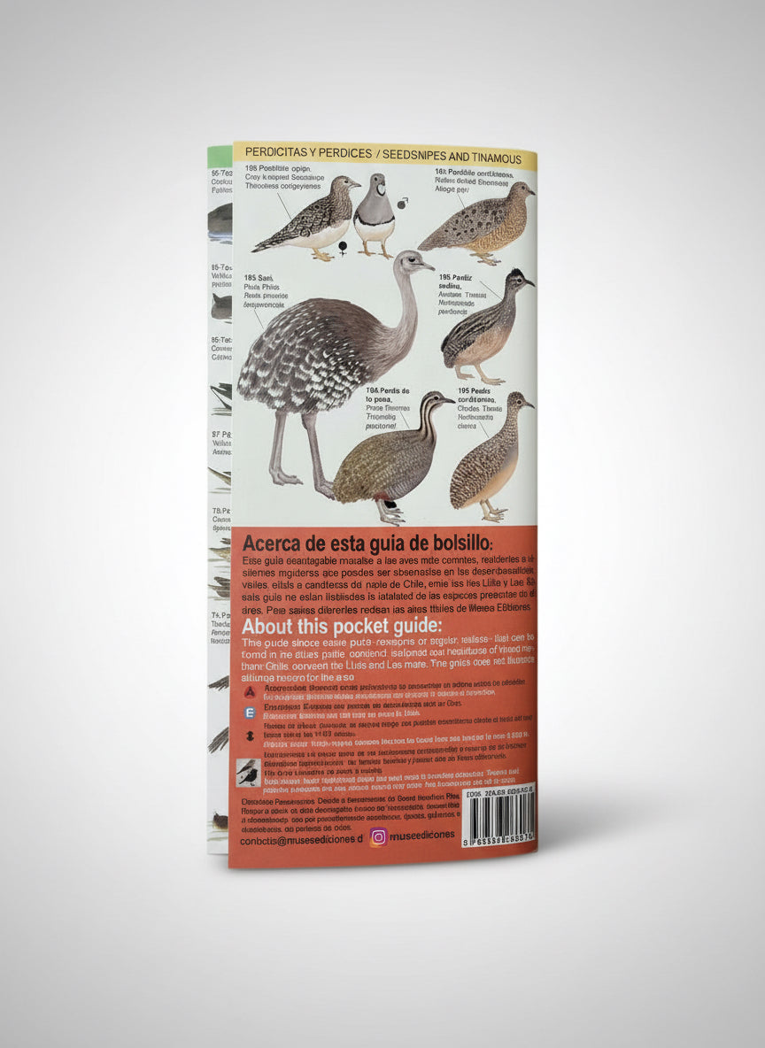 Guía de bolsillo Aves del Norte de Chile