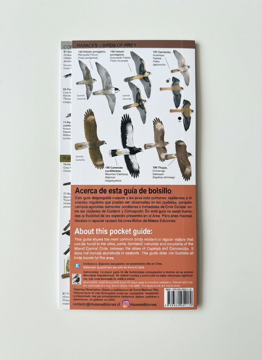 Guía de bolsillo Aves Continentales de Chile Central