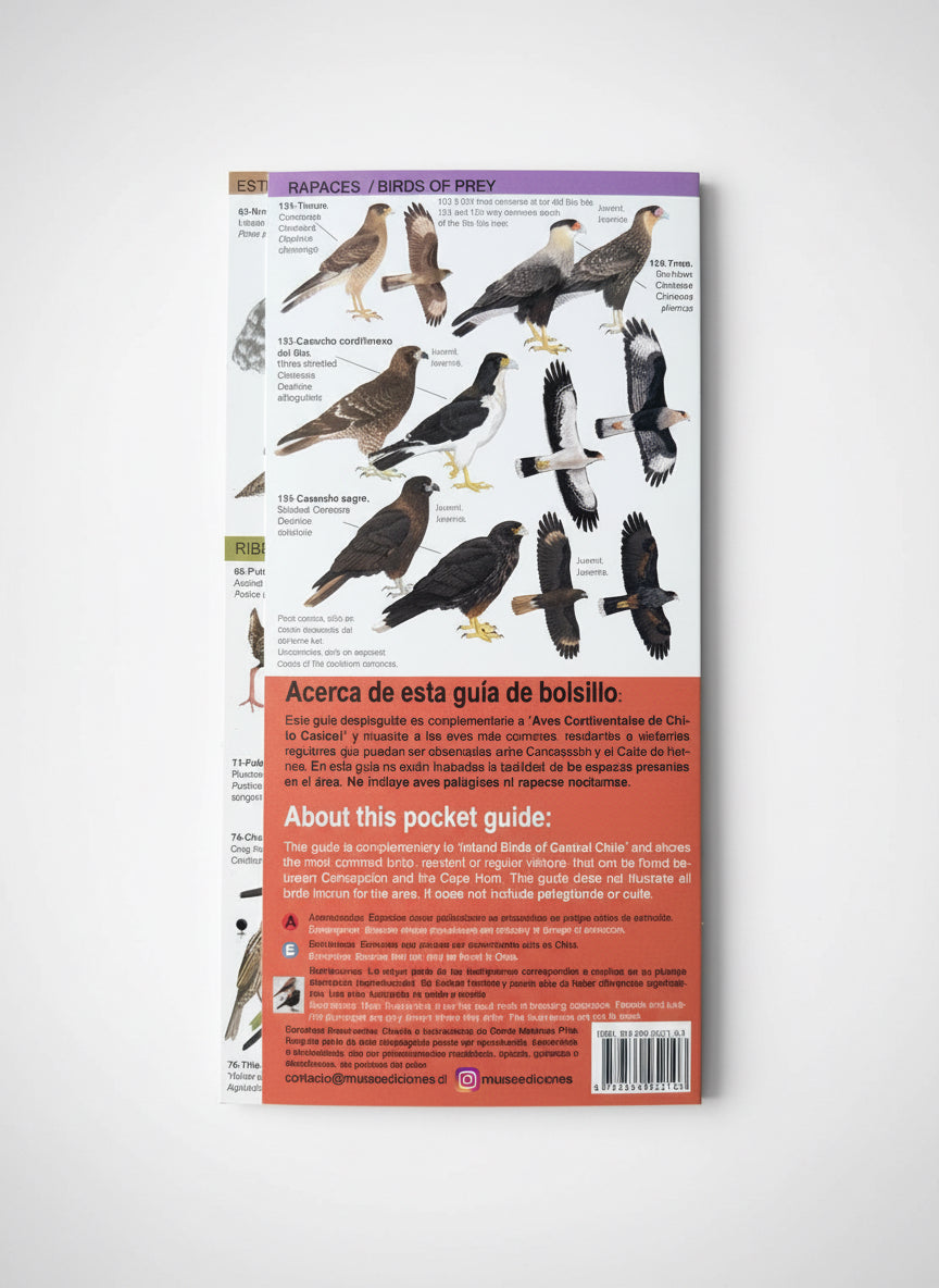 Guía de bolsillo Aves del Sur de Chile y Patagonia