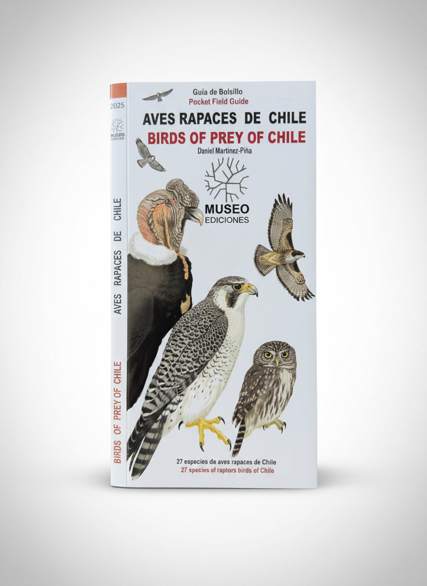 Guía de bolsillo Aves Rapaces de Chile