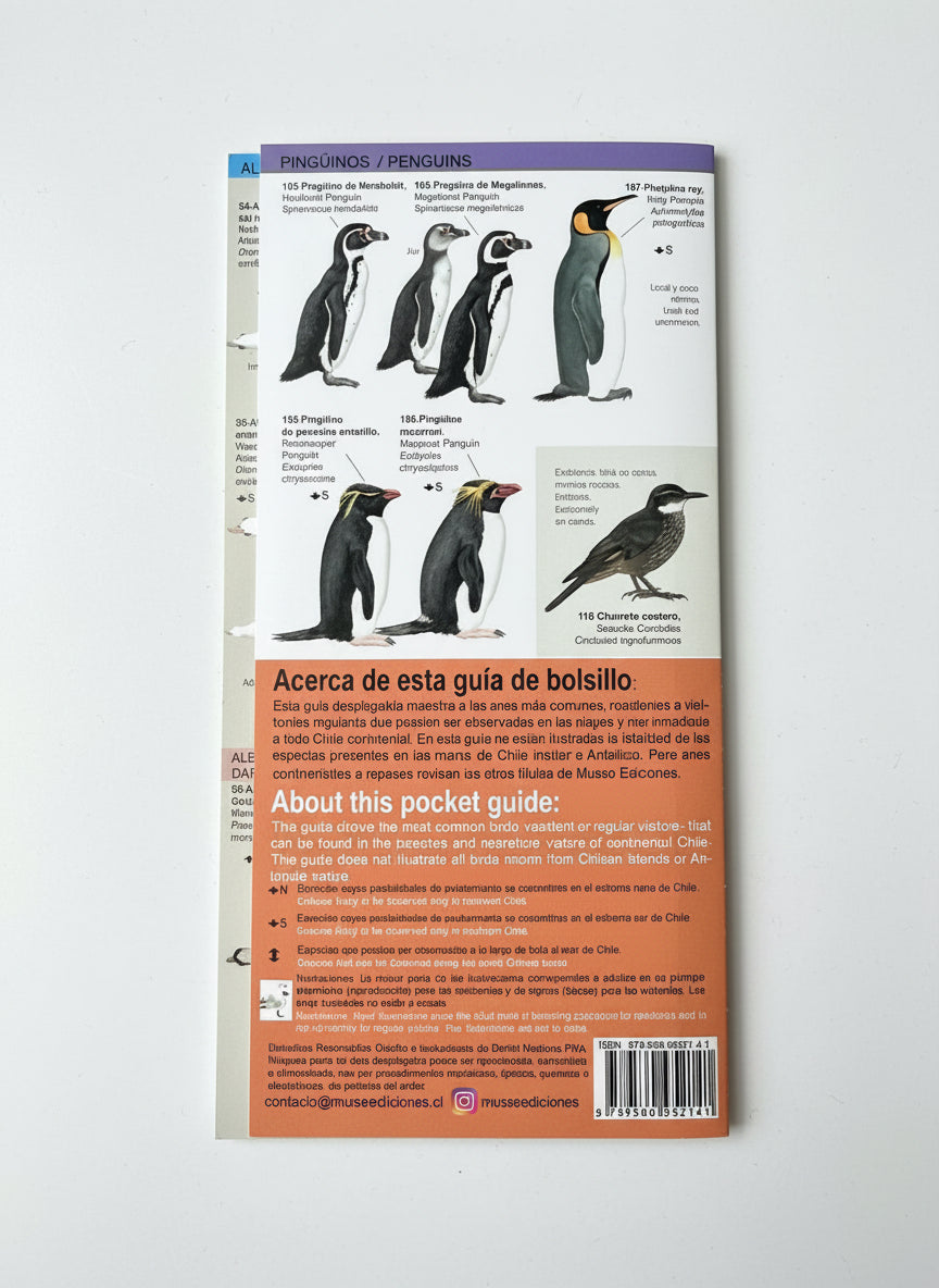 Guía de bolsillo Aves Marinas y Playeras de Chile