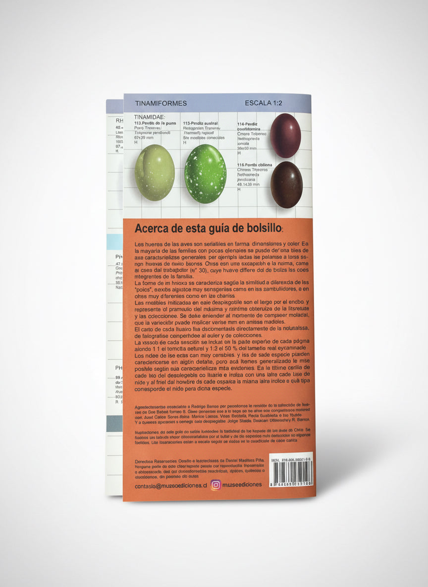 Guía de bolsillo Huevos y Nidos de las Aves de Chile