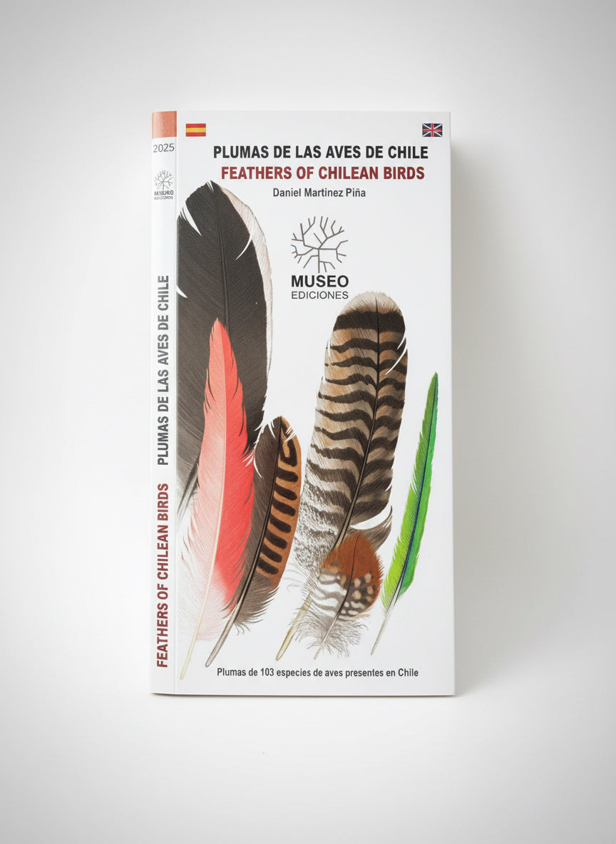 Guía de bolsillo Plumas de las Aves de Chile