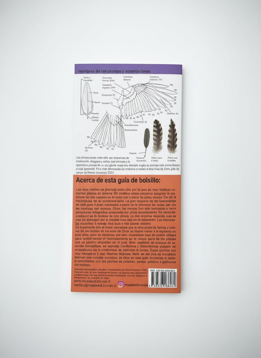 Guía de bolsillo Plumas de las Aves de Chile